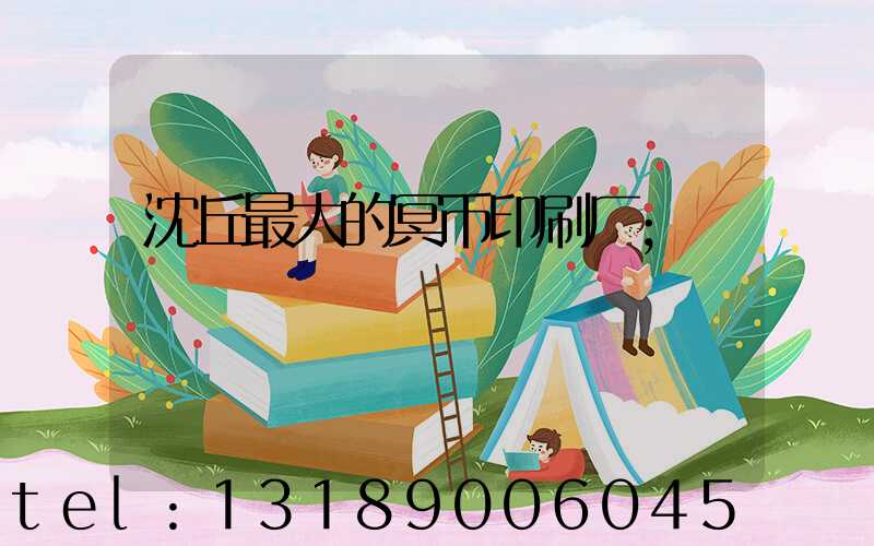 沈丘最大的冥币印刷厂